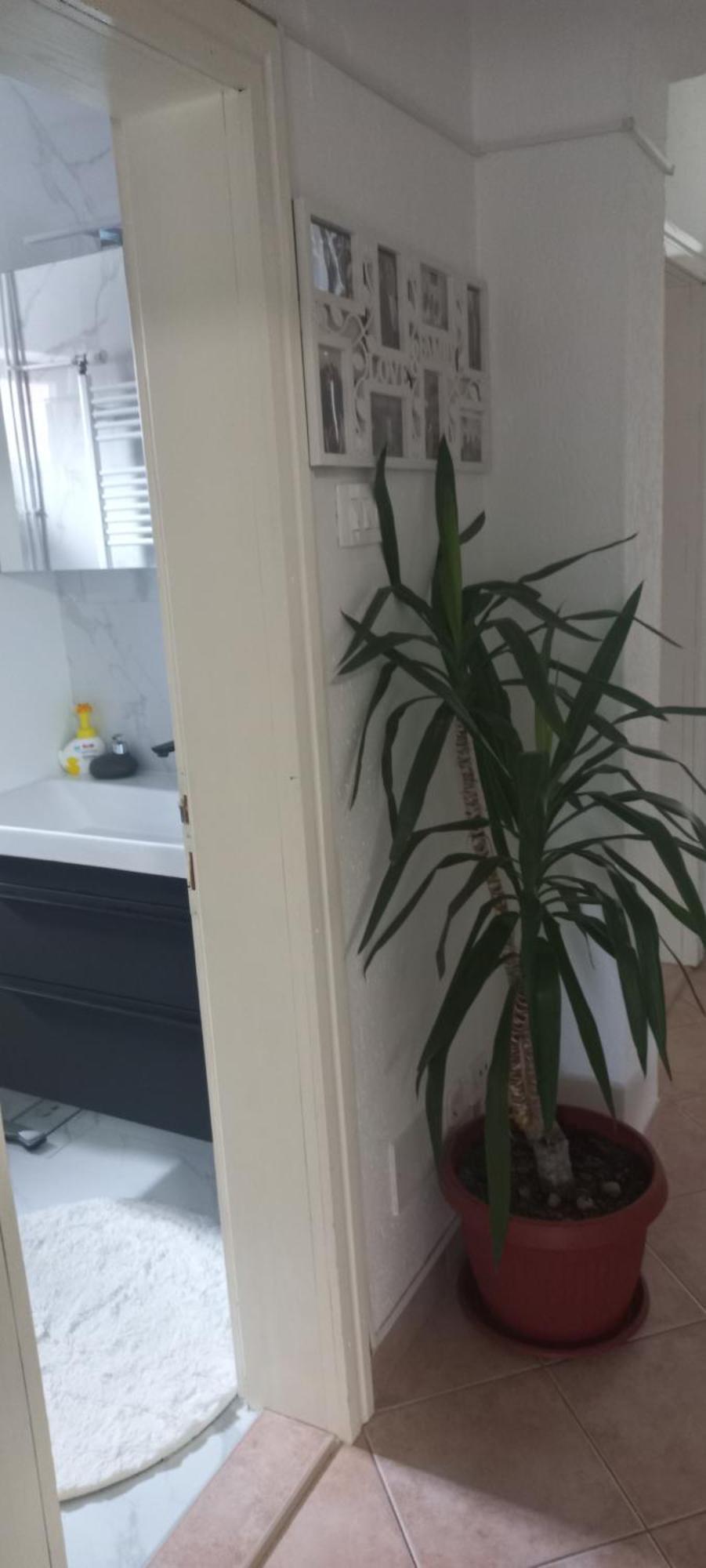 Holiday Home Peaceful Retreat Високо Екстериор снимка