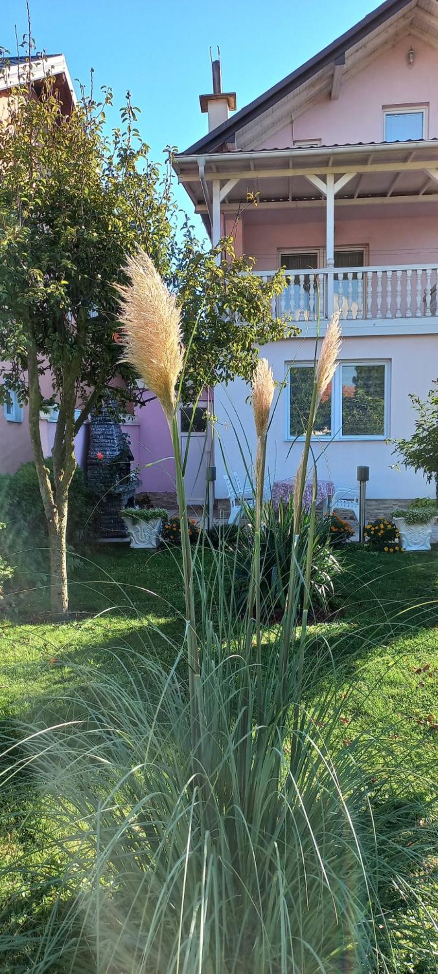 Holiday Home Peaceful Retreat Високо Екстериор снимка